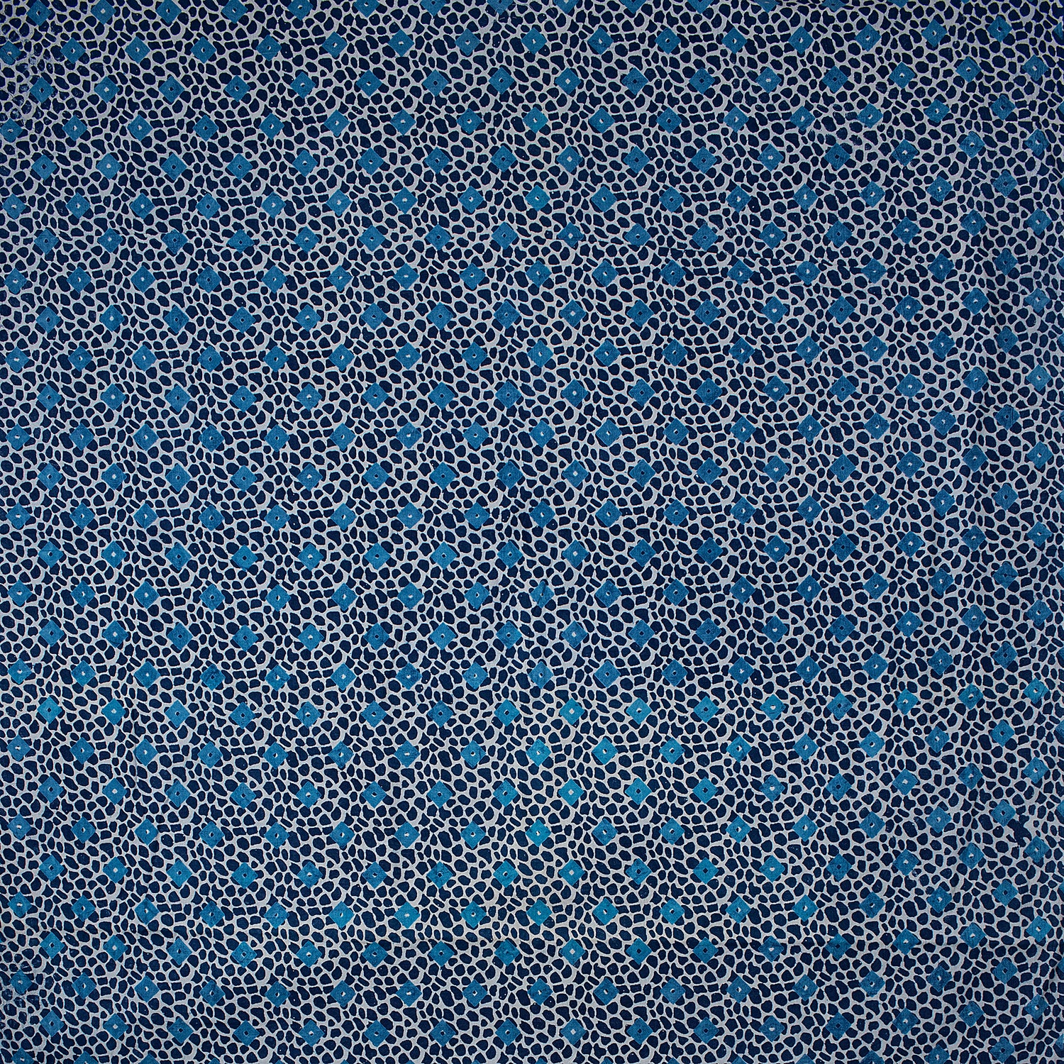 Indigo Print Cotton Fabric